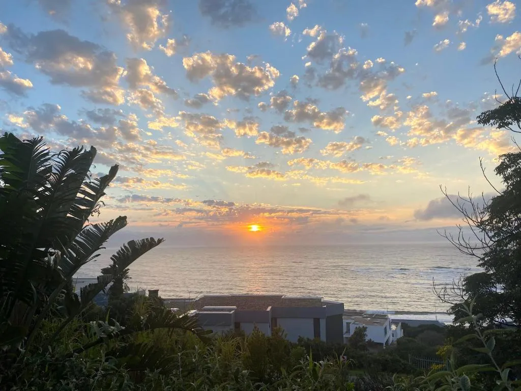 Sunset over the ocean seen from the garden, with banana-leaf foliage framing the shoreline