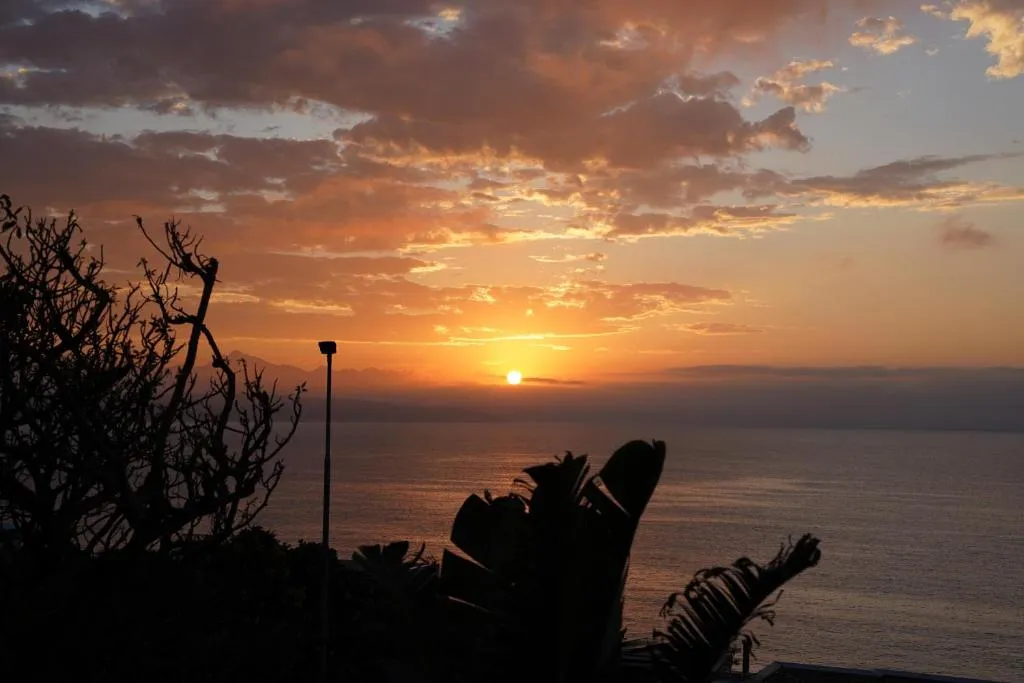 Silhouetted trees and a streetlamp against a glowing sunset over the sea