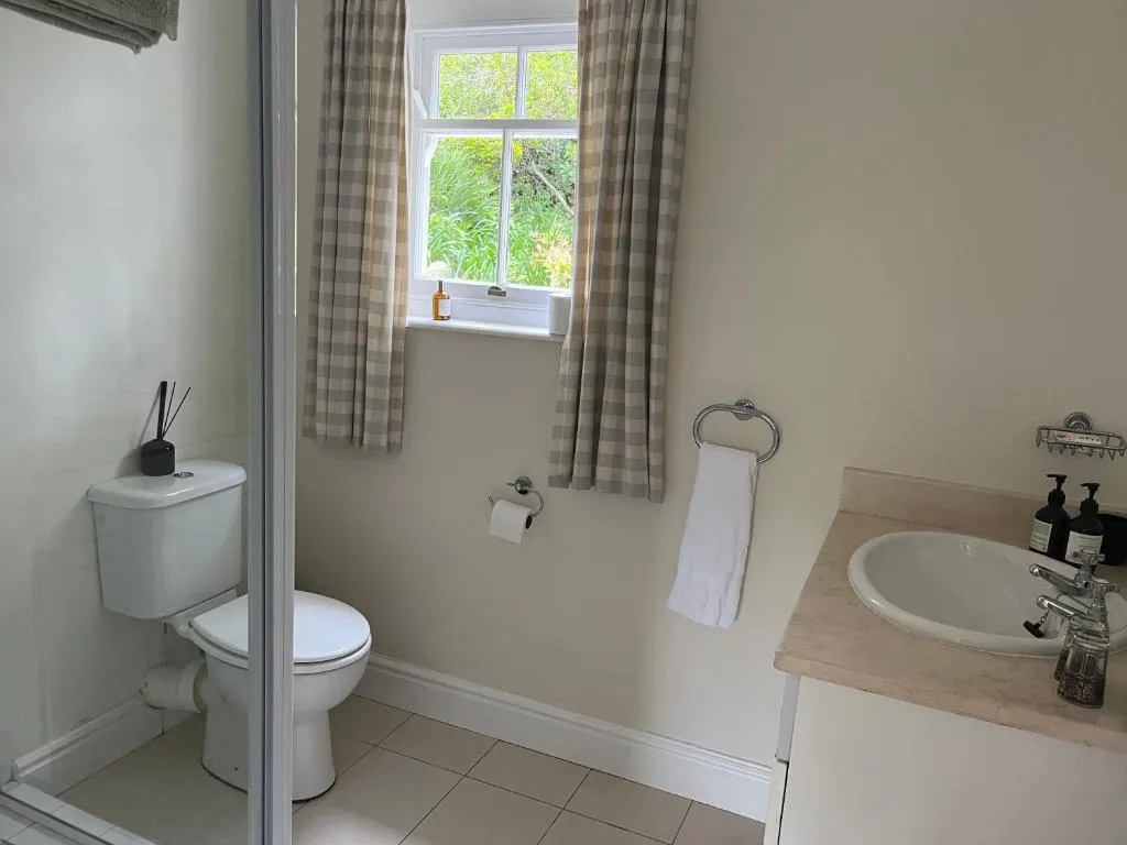 Bathroom with a toilet, pedestal sink, and a glass shower behind checked curtains