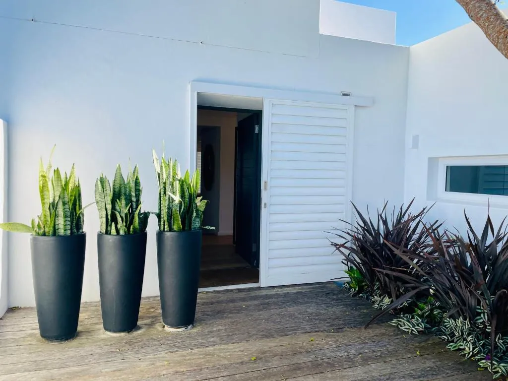 Courtyard entrance with tall potted snake plants beside a louvred front door