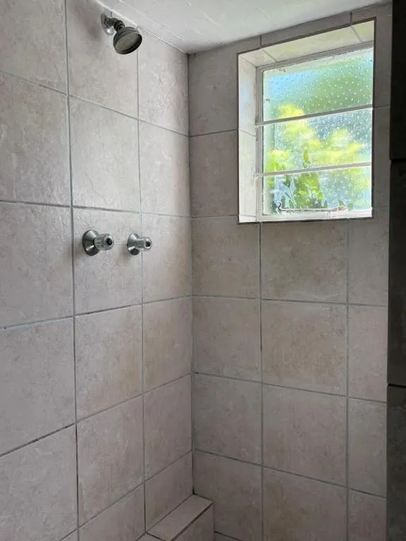 Tiled shower stall with a frosted window onto greenery and no separate bath