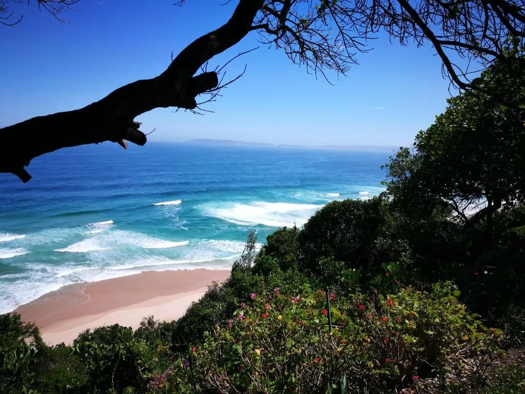 Sea view over a sandy cove with breaking waves, framed by branches and coastal flowers