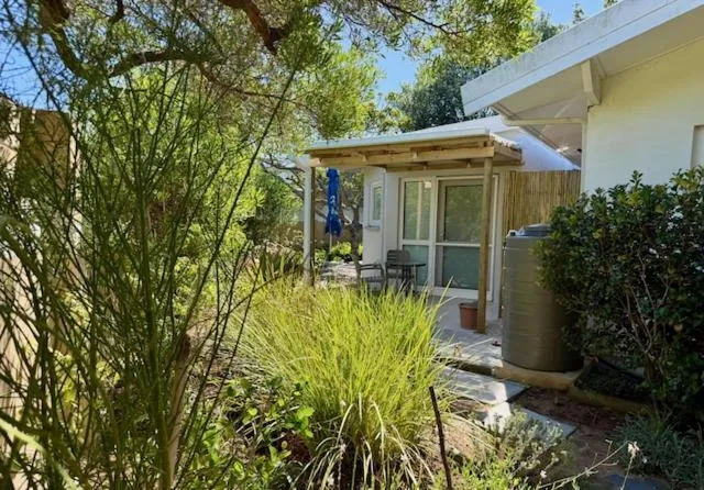 Garden path leading through greenery to the studio's covered pergola entrance