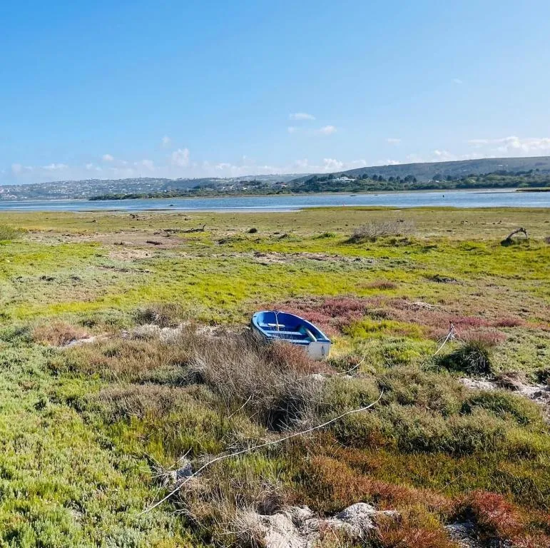 Wetland landscape near the lagoon with a beached rowing boat and hills beyond