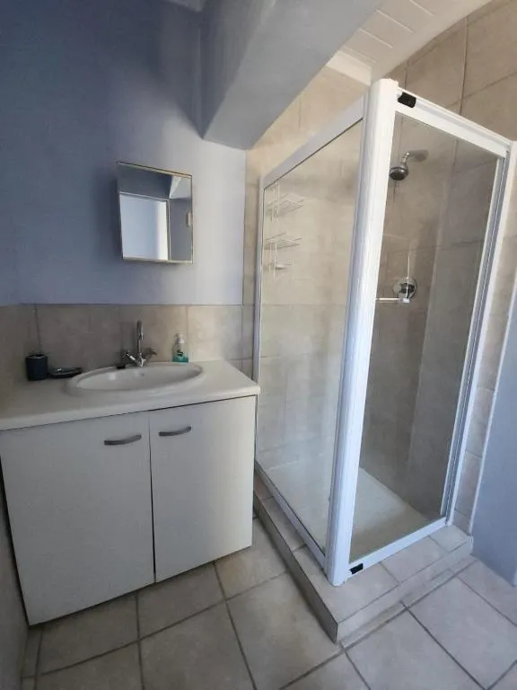 Bathroom with a corner shower enclosure, a vanity sink and wall mirror