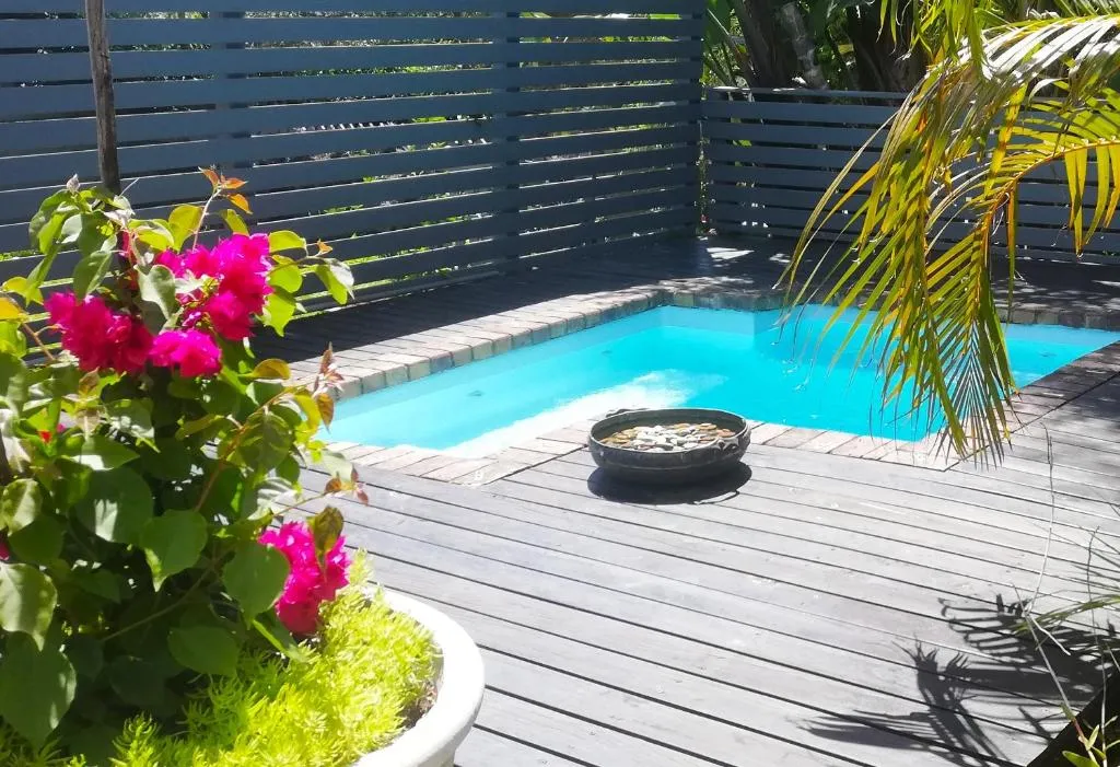 Modern affordable outdoor Oasis with solar energy