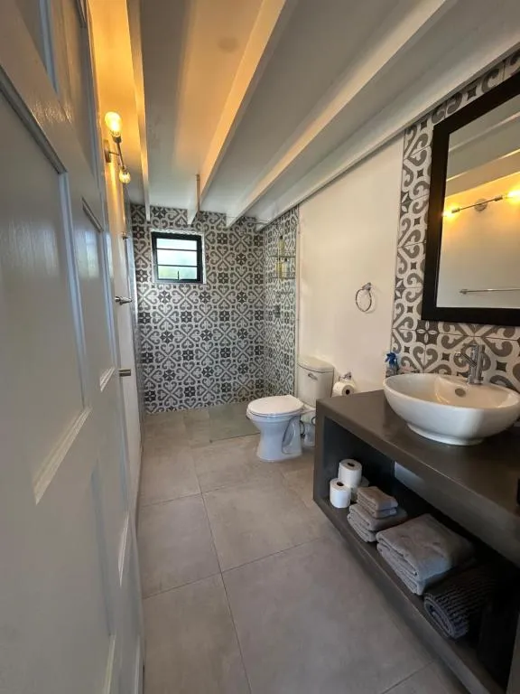 Bathroom with a patterned tile splashback, walk-in shower and vessel sink on a dark timber vanity