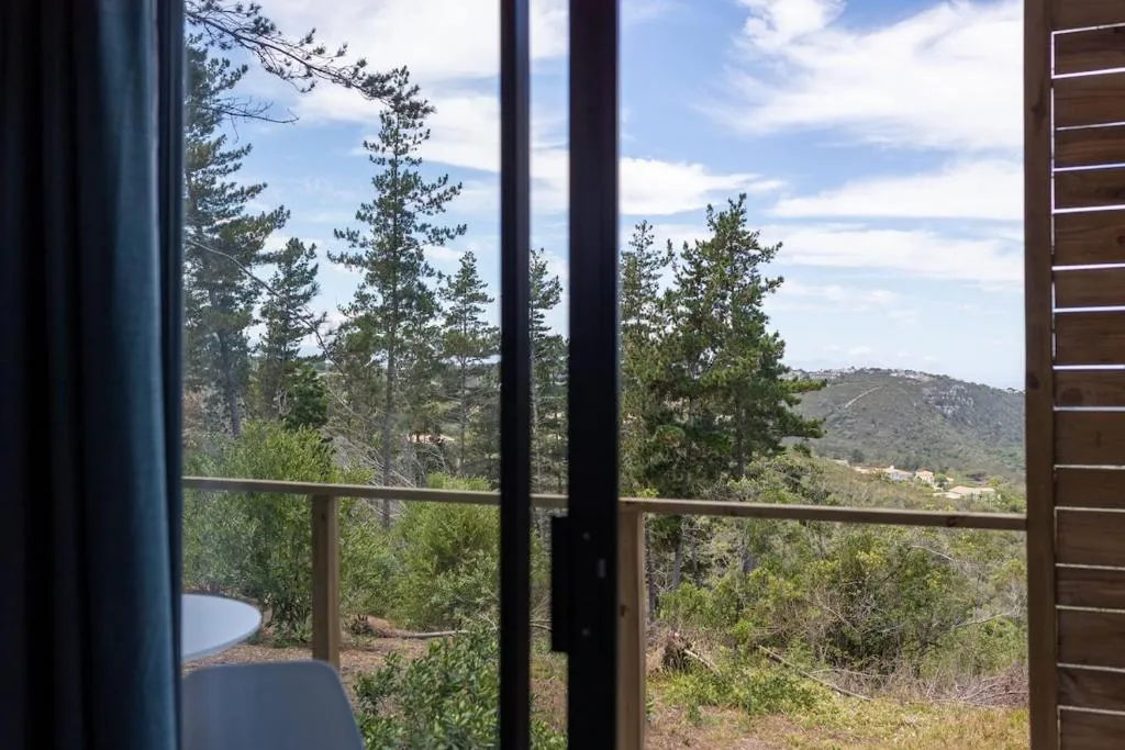 View from the deck door across pine forest to distant mountains