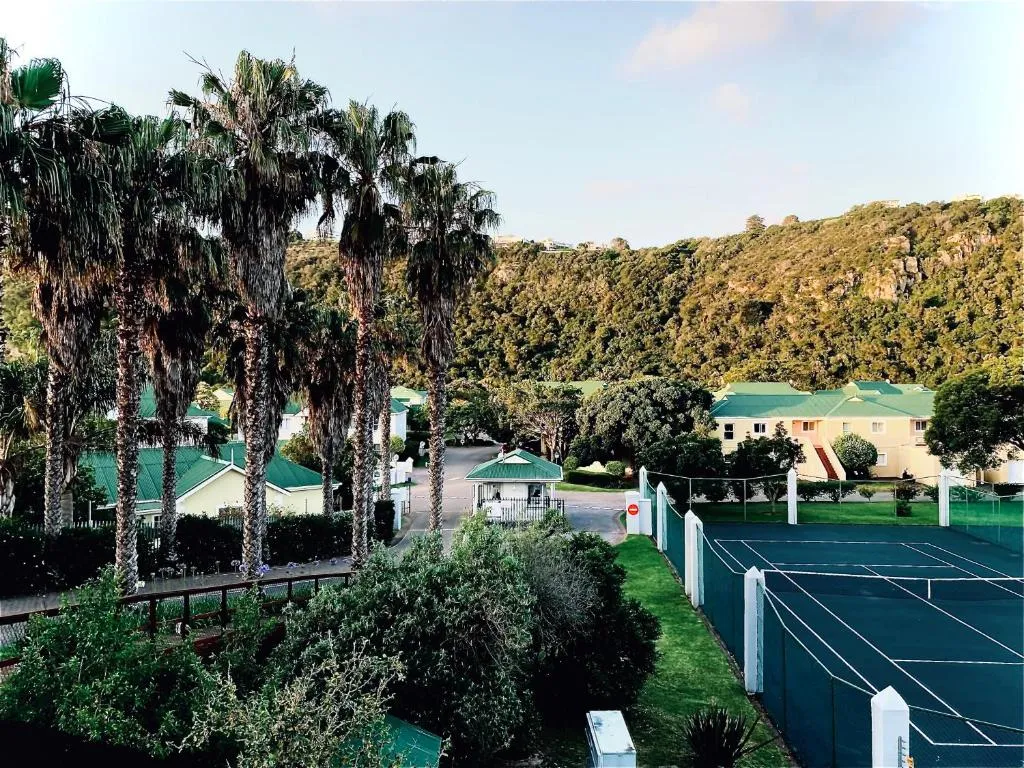 Elevated estate view over the shared tennis court to palm-lined grounds and forested hillside