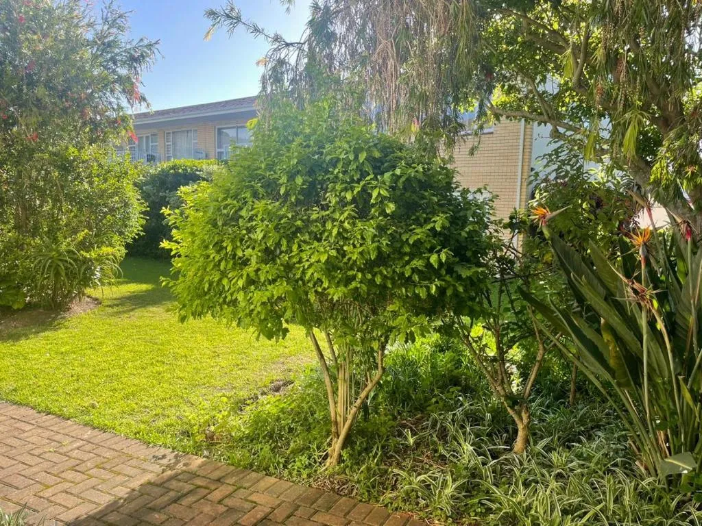 Garden with lawn, tropical shrubs and flowering birds-of-paradise plants beside the building