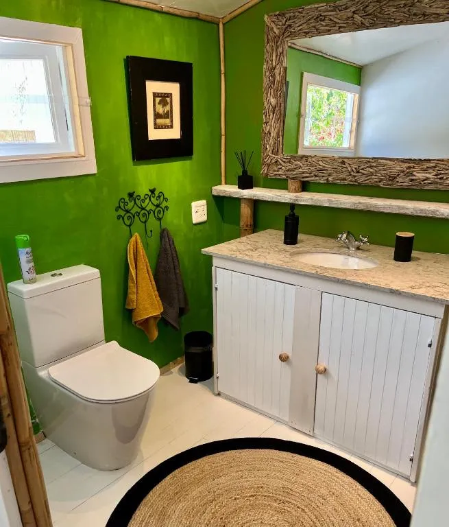 Bathroom with bright green walls, a driftwood-framed mirror, and a granite-top vanity