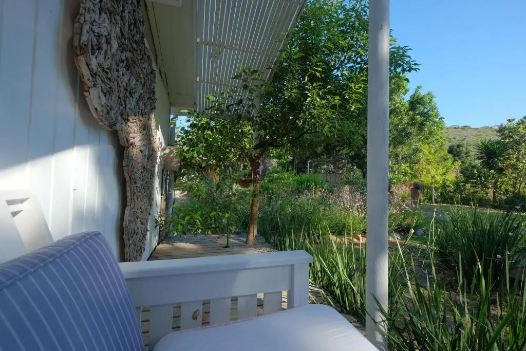 Covered deck with built-in bench seating, driftwood wall art and a lemon tree in the garden