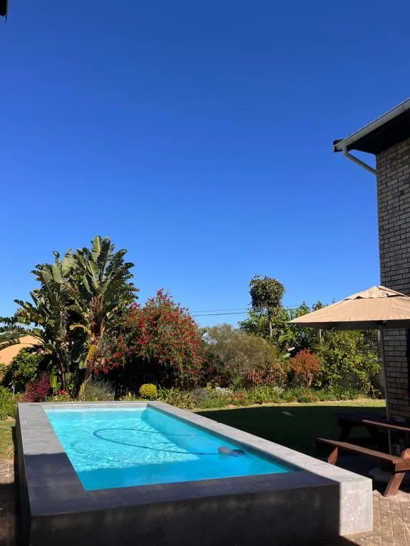 Pladda in Plett