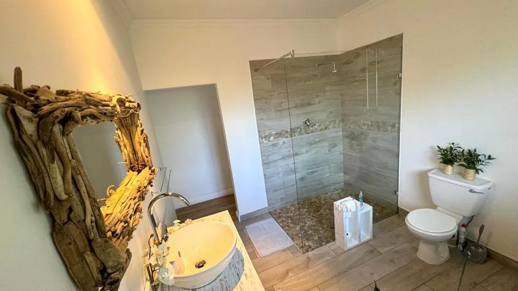 Bathroom with driftwood-framed mirror, vessel sink and tiled walk-in shower