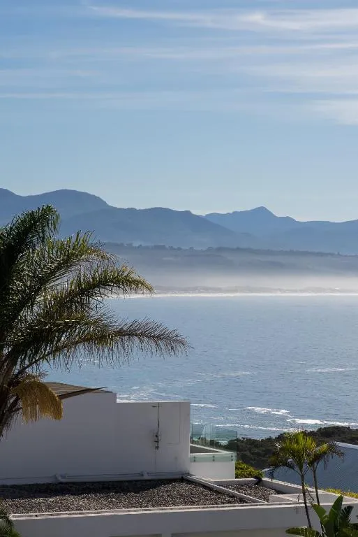 Elevated view over the property's rooftop terrace to the ocean and mountains beyond, framed by a palm frond