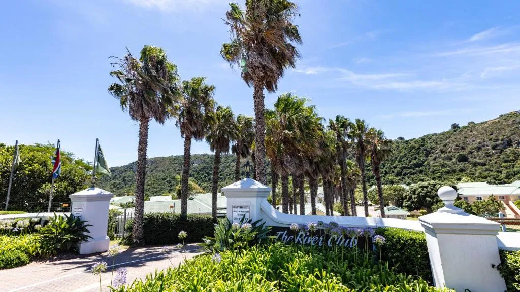 Gated entrance to The River Club estate lined with palm trees and flowering agapanthus