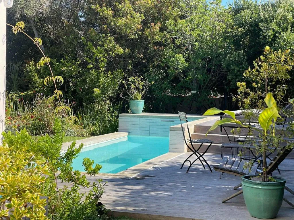Rectangular garden pool with tiled steps, framed by dense subtropical planting and a wood deck