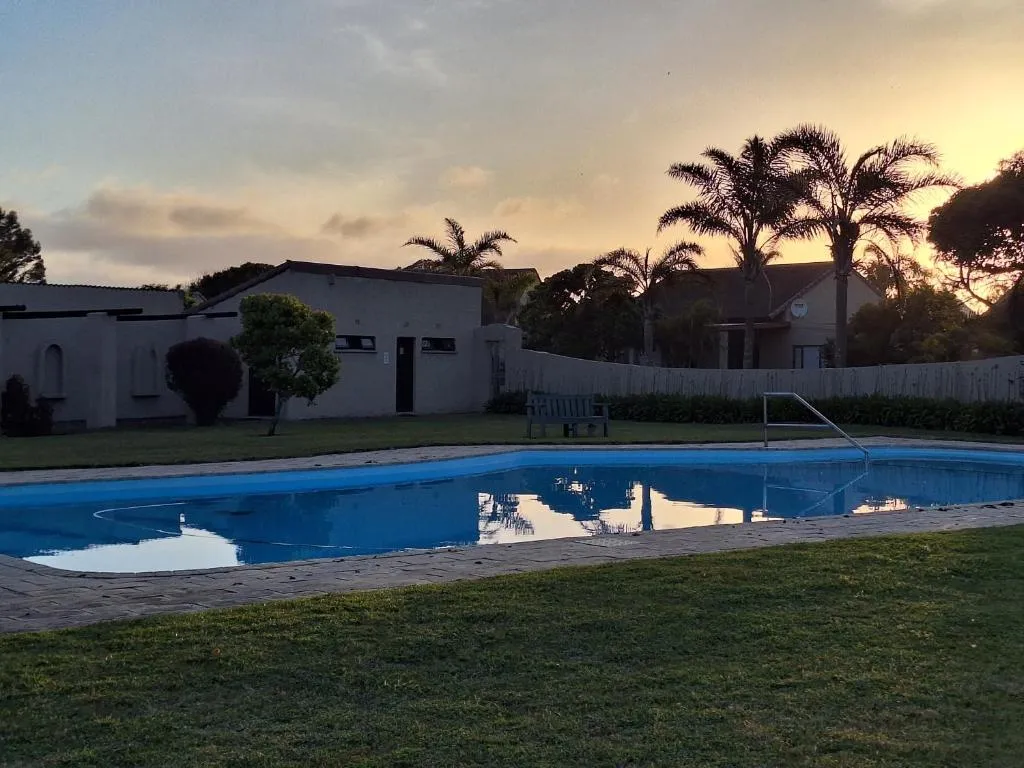Rectangular swimming pool at dusk framed by palm trees and a garden boundary wall