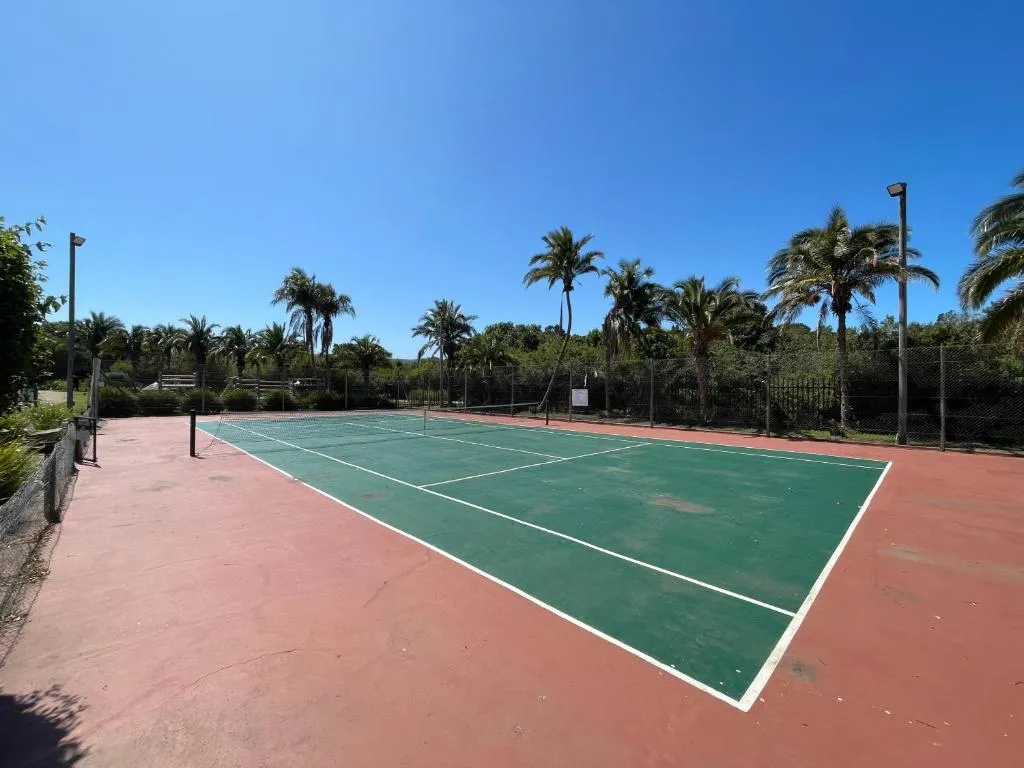 Estate tennis court lined by palm trees under open sky