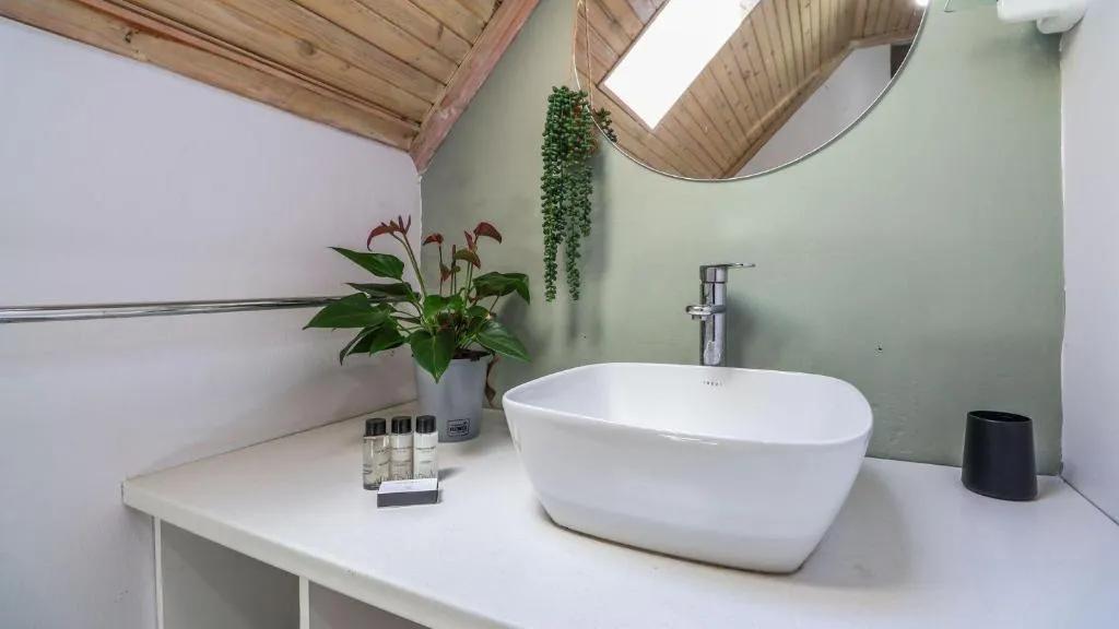 Vessel sink bathroom with a skylight, sloped wood ceiling and a trailing string-of-pearls plant