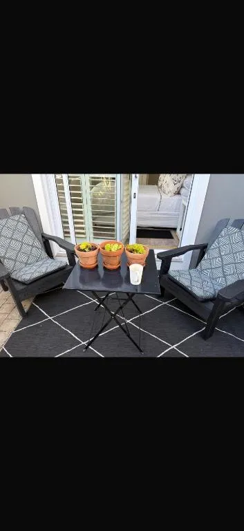 Two outdoor armchairs around a small table with potted succulents on a patterned rug