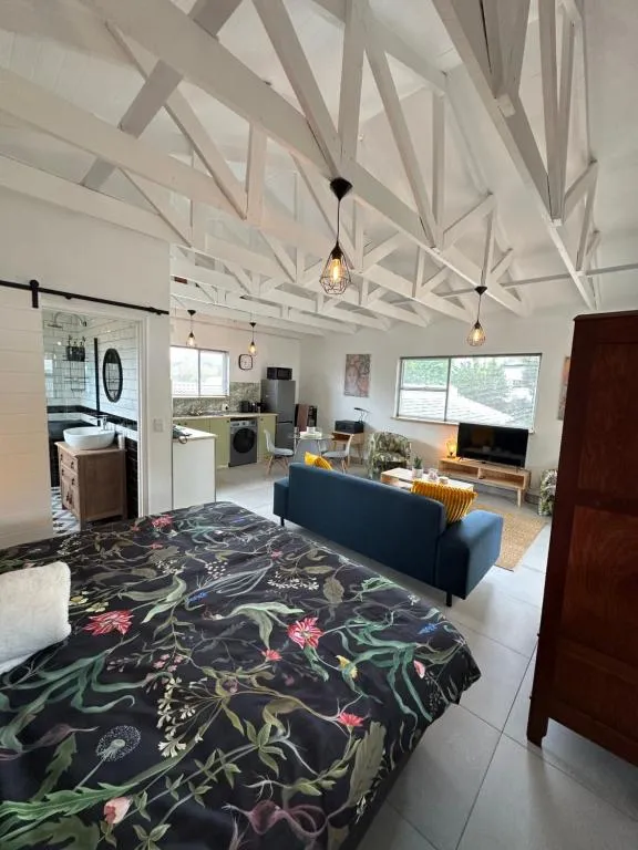 Studio bed facing the open-plan lounge and kitchenette, with a barn door to the bathroom