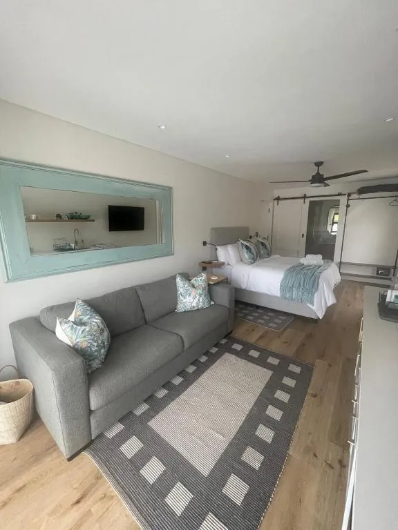 Open-plan lounge with grey sofa and mirrored wall, sliding barn door to the en-suite bathroom