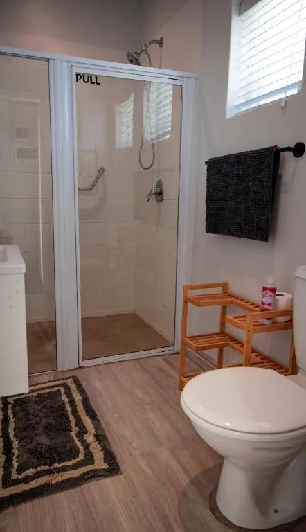 Compact bathroom with a glass shower cubicle, toilet and small storage shelf