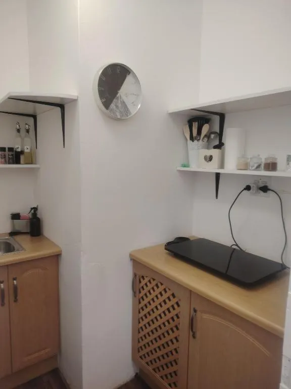 Kitchenette corner with open shelving, a hotplate and small counter