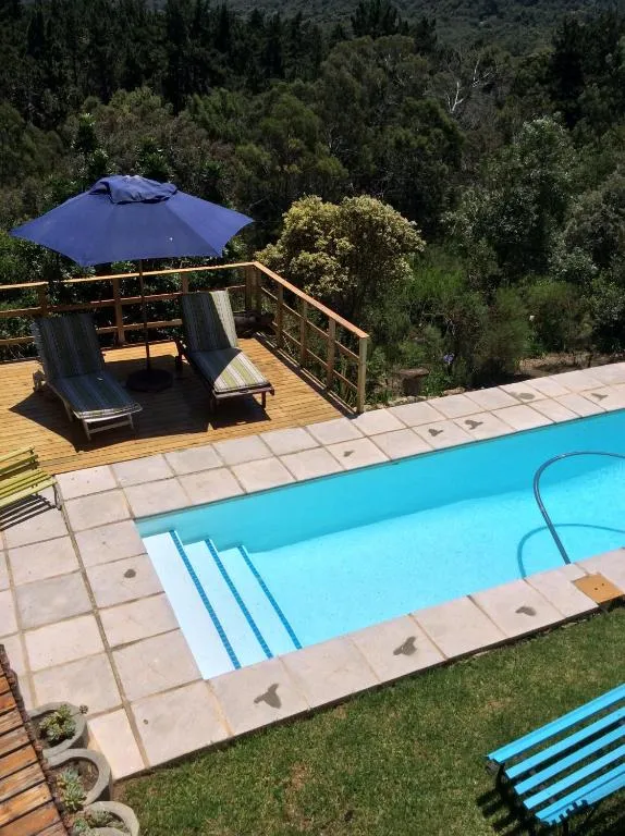 Small rectangular pool with entry steps and loungers, backed by forested hills