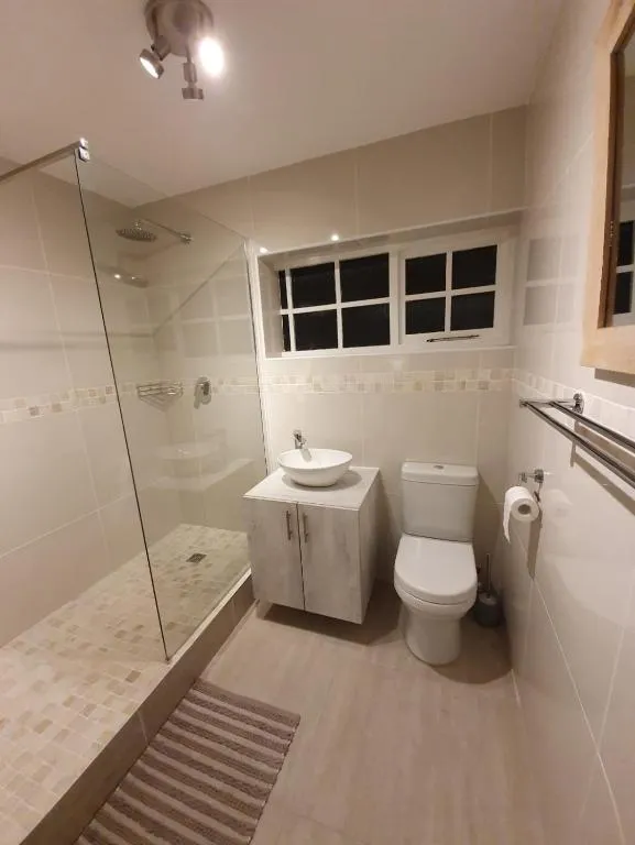 Bathroom with a glass-walled shower, vessel-basin vanity and a toilet