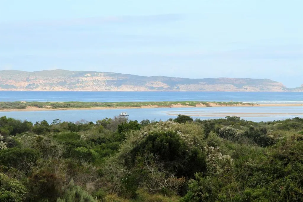 Sea and lagoon view with a sandy headland beyond coastal bush and dune vegetation