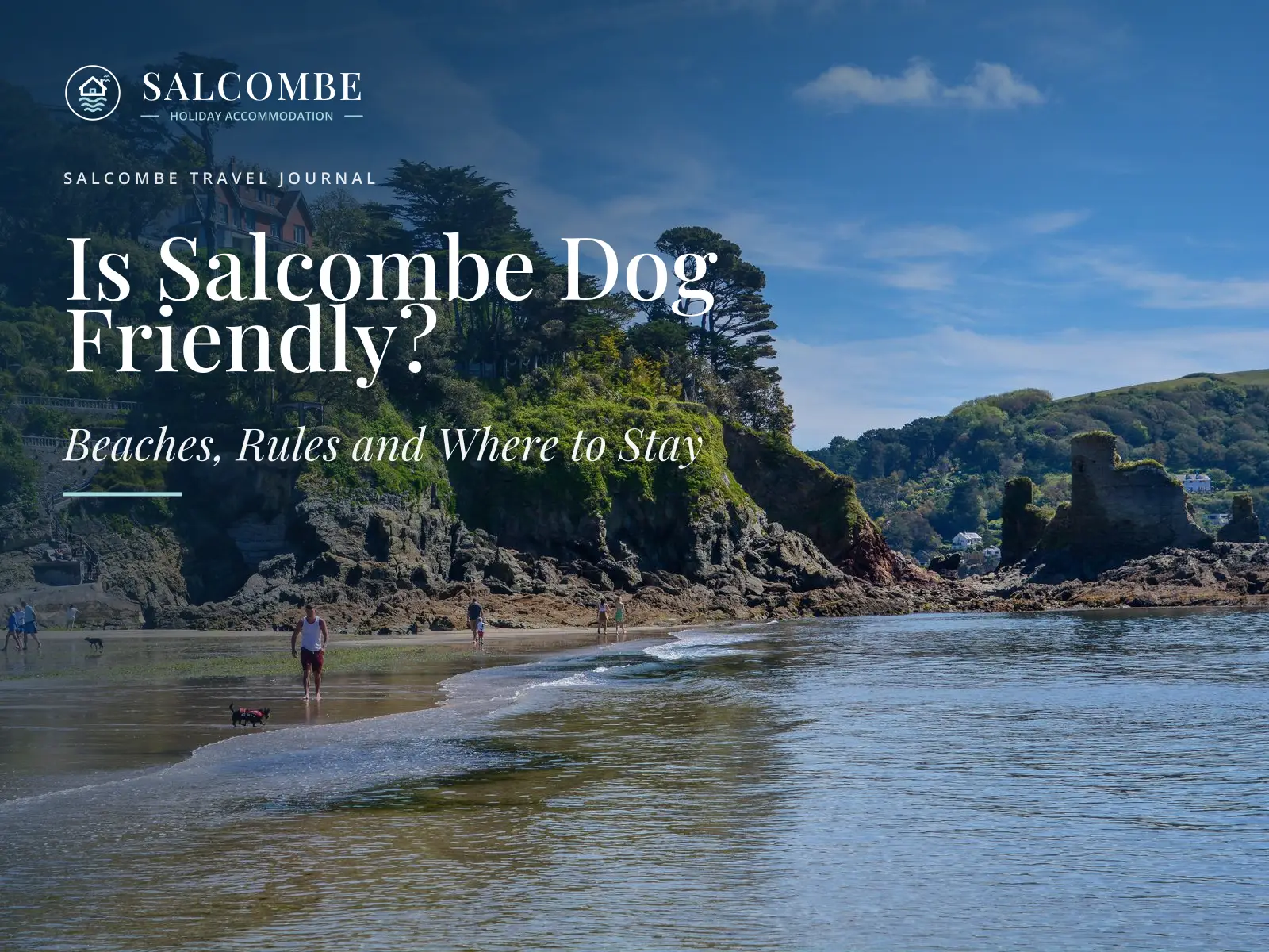 Is Salcombe Dog Friendly? Beaches, Rules and Where to Stay