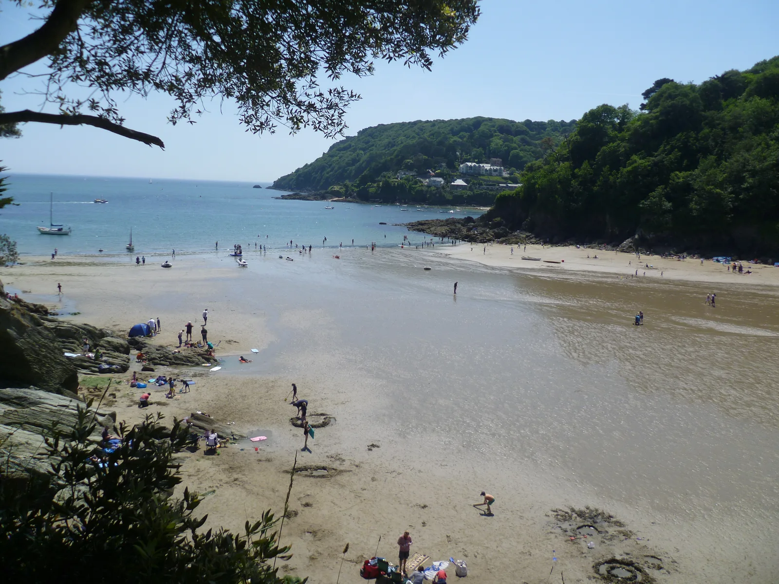 North Sands beach at Salcombe seen from above at low tide, a wide stretch of sand with a wooded headland beyond and a tree branch overhanging the top of the frame