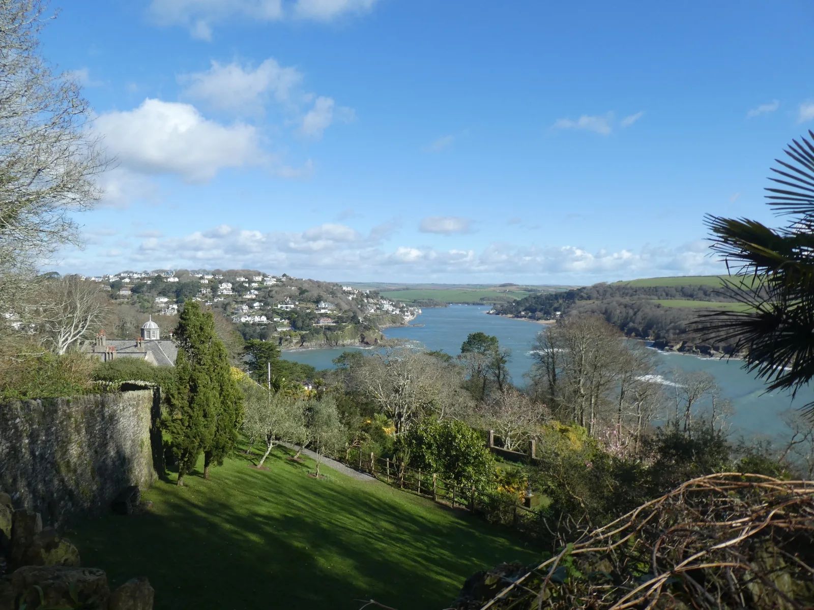 The terraced subtropical garden at Overbeck's above Salcombe, with palms and shrubs on sloping ground and the harbour visible through gaps in the planting